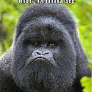 Meet your Posher, Lema